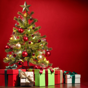 cristmas-zimske-boje